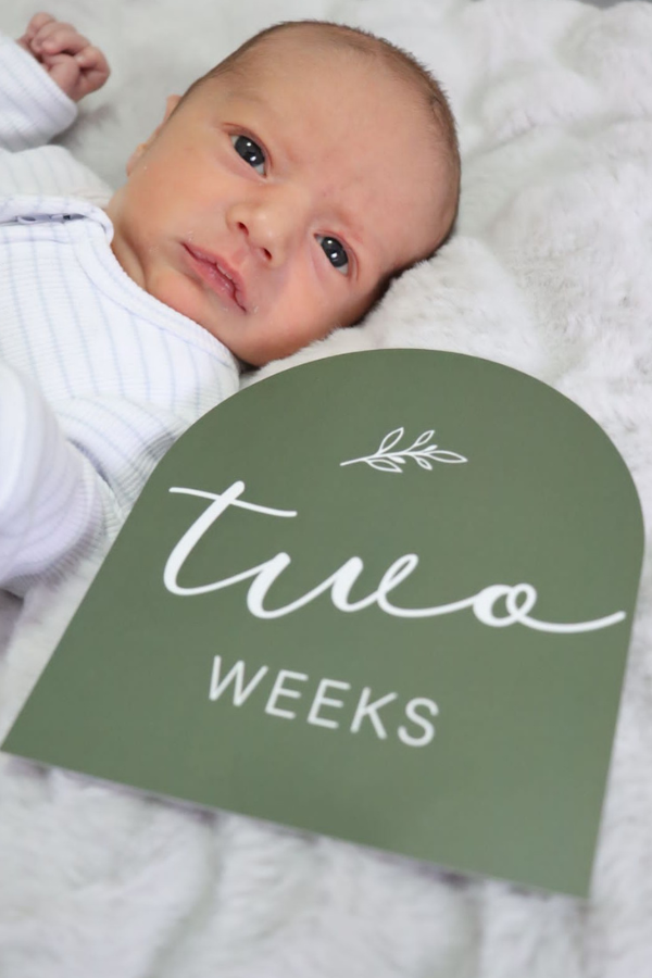 Earthly | Baby Milestone Cards - VIXSA