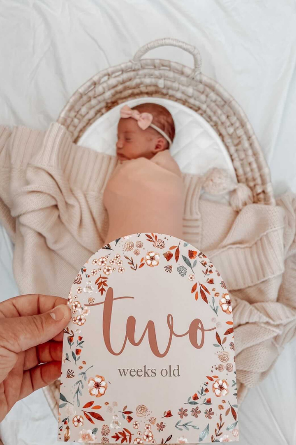 Bloom | Baby Milestone Cards - VIXSA