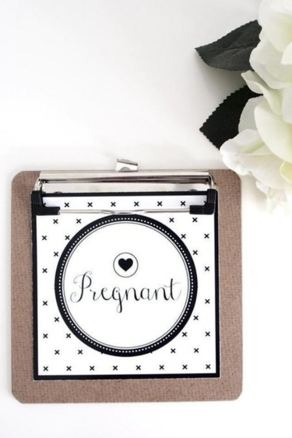 Adventure Series | Pregnancy Milestone Cards + Clipboard - VIXSA