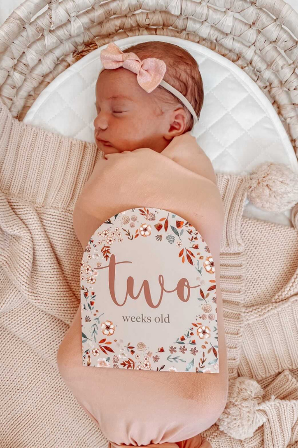 Bloom | Baby Milestone Cards - VIXSA