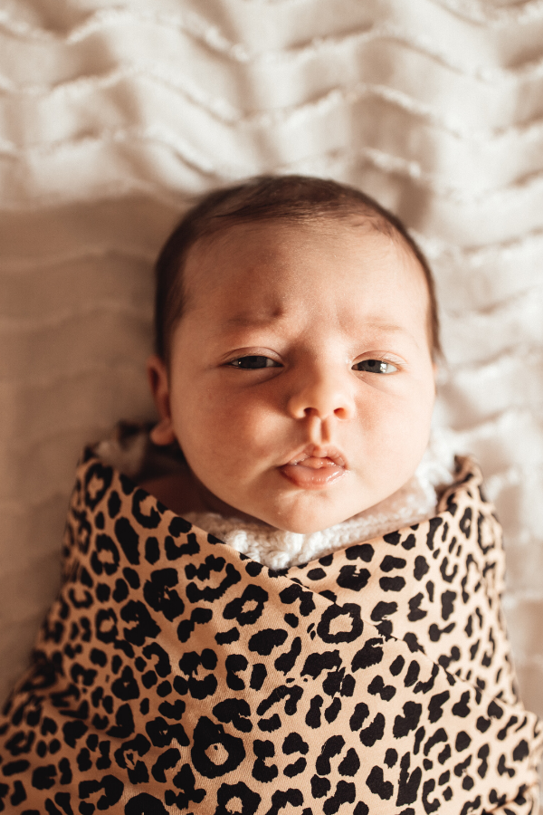 Wild Love Swaddle - VIXSA
